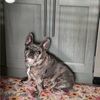 sherrylee7313